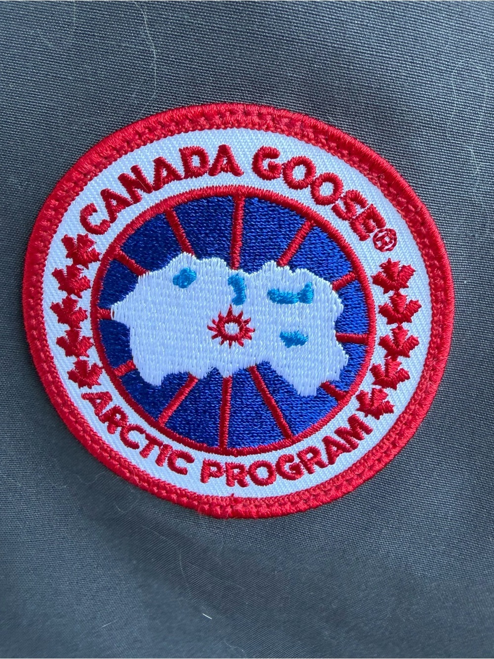 Men's Jacket  CANADIAN GOOSE